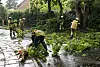 Feuerwehrleute räumen Teile eines bei einem Gewitter auf die Straße gefallenen Baumes beiseite.