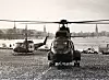 Hubschrauber von BGS und Bundeswehr am Schwanenwik