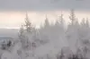 Im Harz gab es Neuschnee.