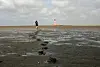 Ein Mann läuft durch das Watt auf den Westerhever Leuchtturm zu.