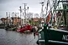 Krabbenkutter liegen im Hafen von Greetsiel. (Archivbild)