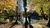 Herbst in hamburg
