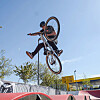 Bike Artist