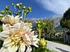 Immer mehr Wellnesshotels erkennen, dass die Natur in besonderem Maße schützenswert ist.