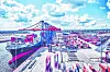 Zum Containerterminal Tollerort gehören vier Liegeplätze und 14 Containerbrücken.