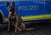 Haix sitzt vor einem Polizeiwagen.
