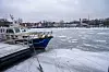 Vilm Hafen Lauterbach