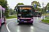 Pinkfarbene Busse von vorne