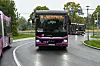 Pinkfarbene Busse von vorne