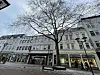 Fußgängerzone Harburg: Diese Platane mit großer Krone wird gefällt.