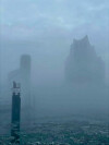 Elphi im Nebel