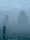 Elphi im Nebel
