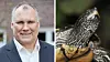 Björn Lengwenus und Schildkröte