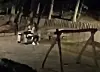 Brände, Drogen, Gewalt und Sex auf em Spielplatz. Bürger in Winterhude von Bewohnern einer Flüchtlingsunterkunft genervt