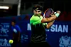 Marinko Matosevic spielt einen Return