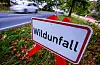 Ein Warnschild mit der Aufschrift „Wildunfall“ (Symbolfoto).