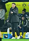 Polzin HSV BVB
