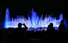 Die Wasserlichtkonzerte locken an Sommerabenden Hunderte Zuschauer in den Park Planten un Blomen.