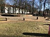 Nur noch Stümpfe sind von den einst prächtigen Kirschpflaumen am Kaiser-Friedrich-Ufer übrig.