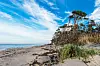 Strand Darß