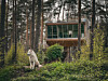 Baumhaus „Tree Inn“ in Dörverden
