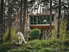 Baumhaus „Tree Inn“ in Dörverden