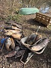 Fischsterben Farmsen Teich Anglerverein